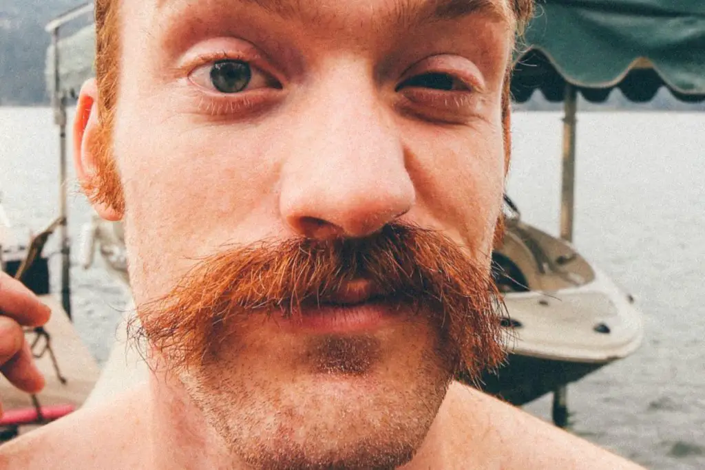6 Famous Walrus Mustaches (Plus Growing & Style Tips)