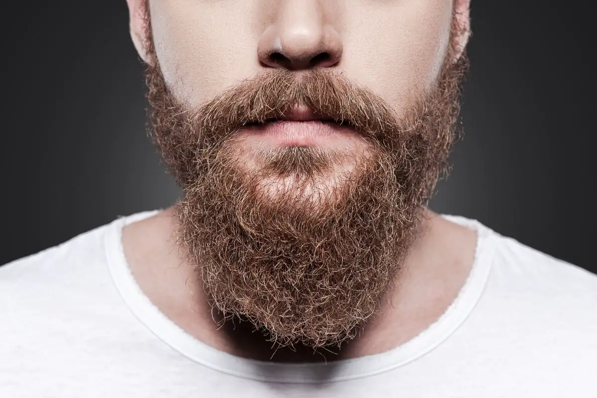 Ducktail Beard - How To Trim, Shape & Style Like A Master