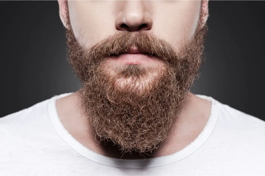 Extended Goatee beard style