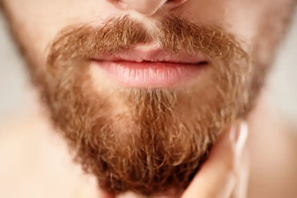 Extended Goatee Beard - How To Grow, Style, & Trim