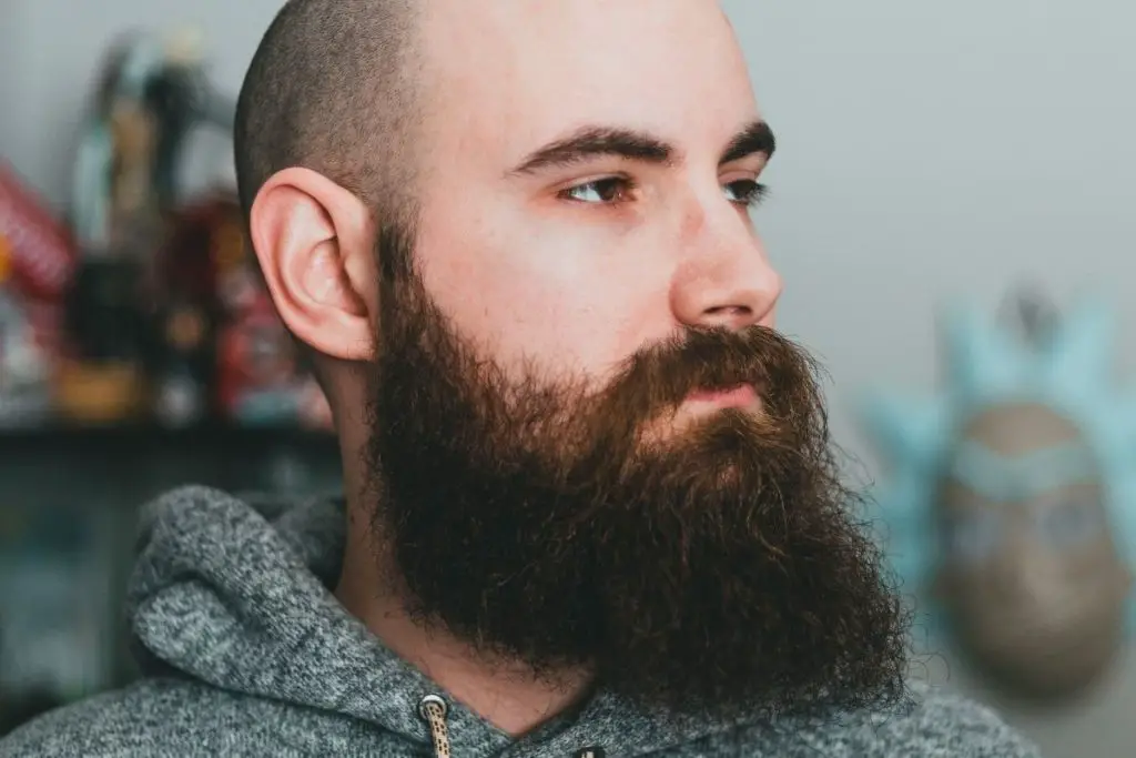 Pointed Goatee Beard: How To Grow, Best Styles - beardition.com