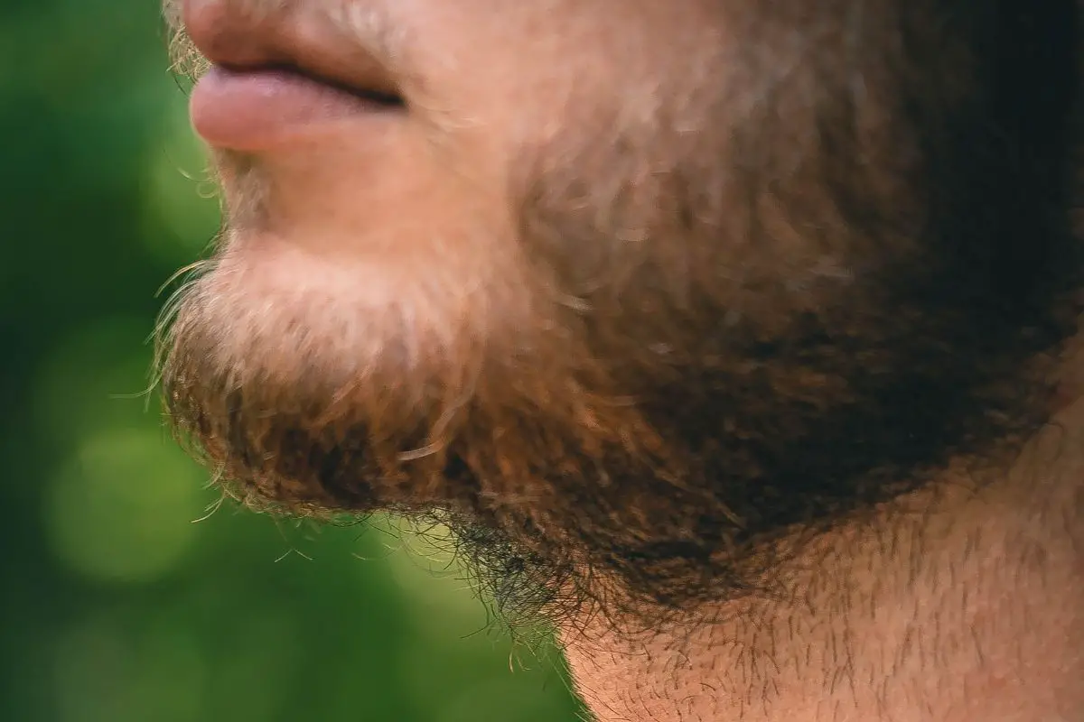 Why Is My Black Beard Turning Brown And What To Do About It? -  