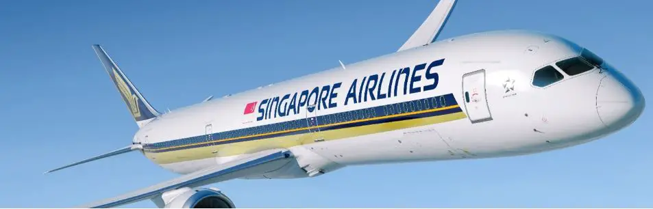 Can You Fly With A Razor on Singapore Airlines?